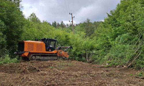 EDN North is undertaking a large-scale campaign to prevent outages and appeals to institutions for assistance in the construction of clearings along power lines
